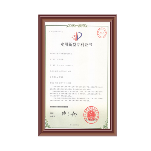 午夜男女视频用擺動臂結構專利證書